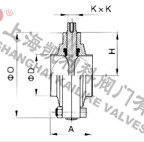 D81X衛(wèi)生級快裝蝶閥外形結(jié)構(gòu)圖